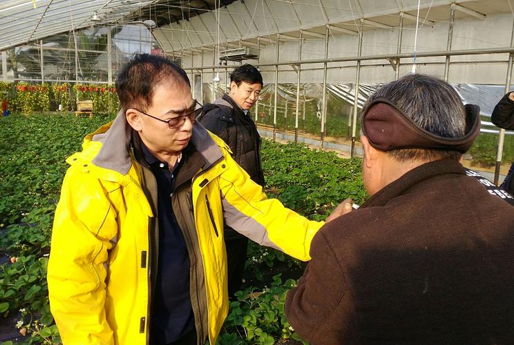 2017年正月初六,金鸡大吉大利之时,农业部优质农产品开发服务中心技术